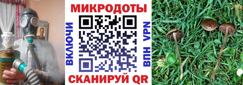 Псилоцибиновые грибы GOLDEN TEACHER  Игарка 